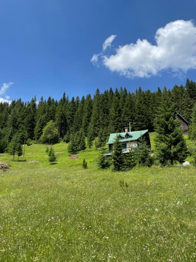 Вилла Magic Mountain Жабляк Экстерьер фото